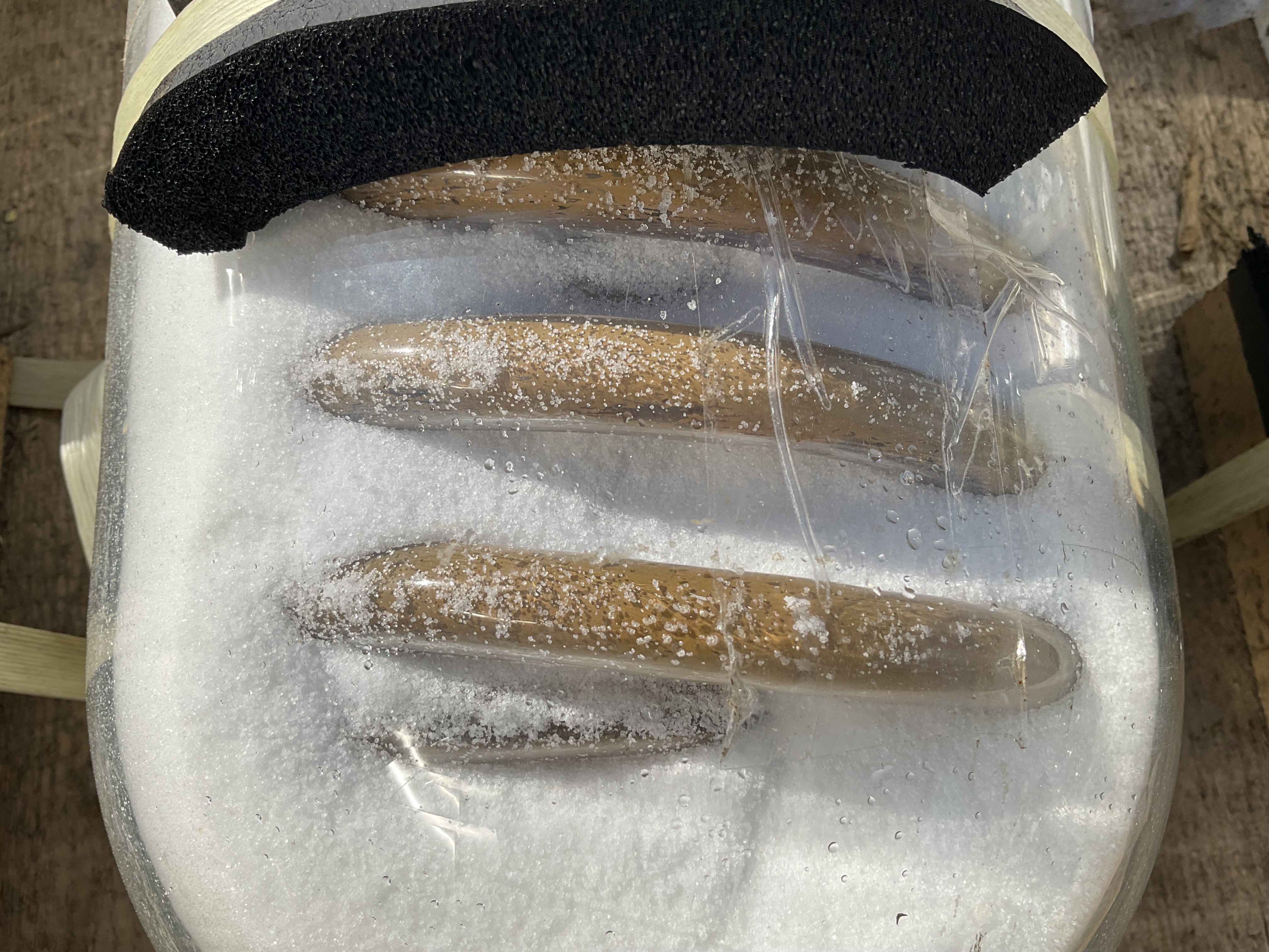 Maschine: QVF GLASSTECHNIK Glass spiral 1,5 m² - Shell and tube heat exchange Rohrbündelwärmetauscher