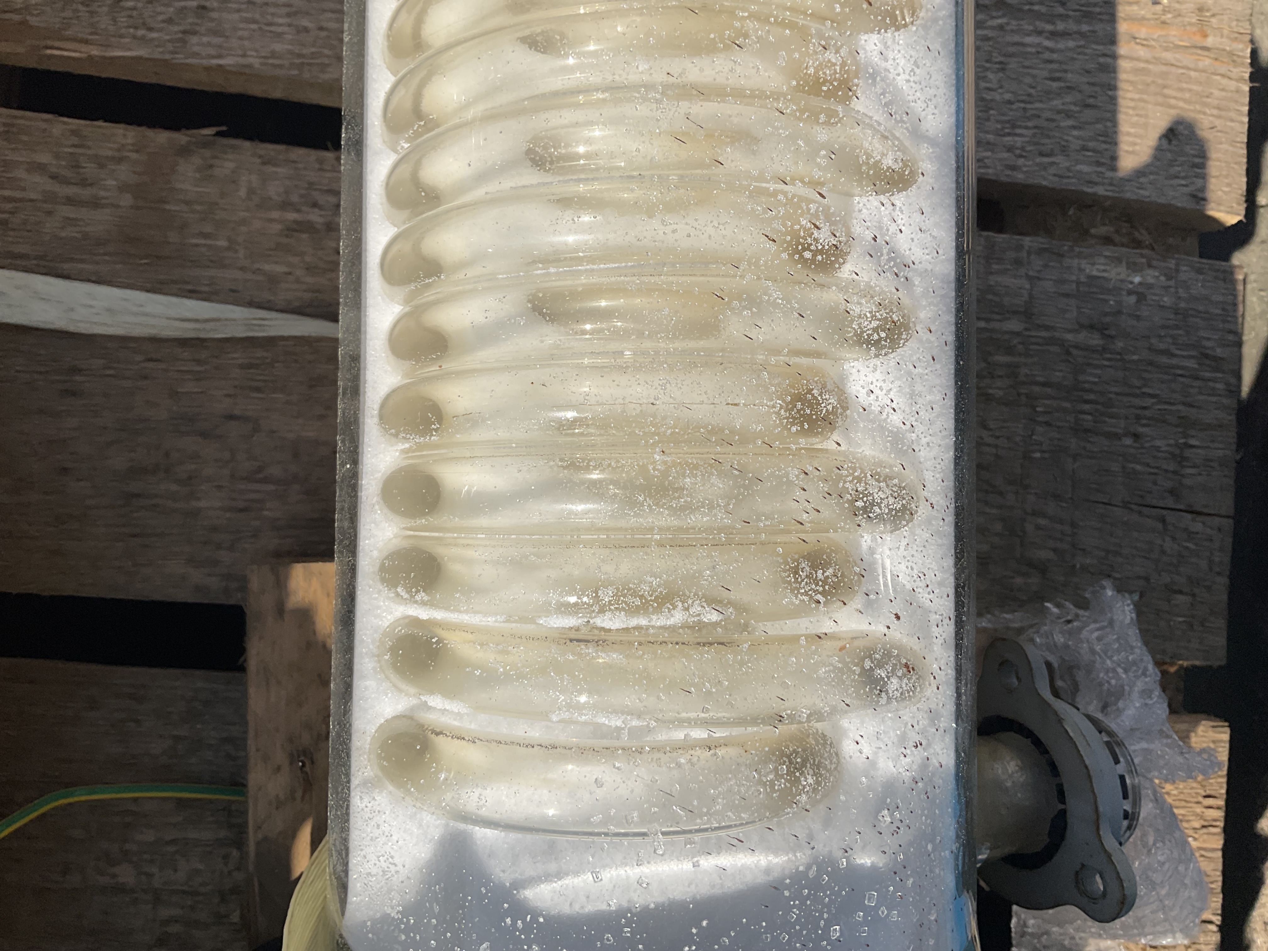 Maschine: QVF GLASSTECHNIK Glass spiral 1,5m² - Shell and tube heat exchanger Rohrbündelwärmetauscher