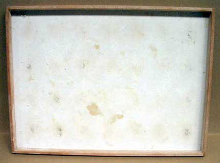 diverse 770 x 570 x 40 mm Gebäck und Kuchen Sonstige| Sonstige Ge