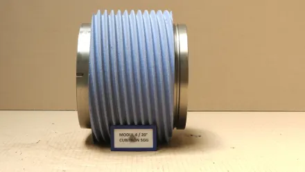 Reishauer Rz 400 / 800 / 1000 Modul 4 EW 20° 5GG Cubitron Schleifscheibenflansch – RESALE