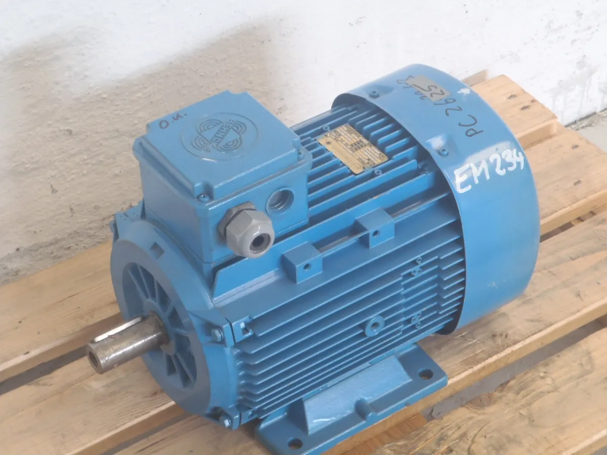 Elektrik motoru 4 kW, 2890 rpm
