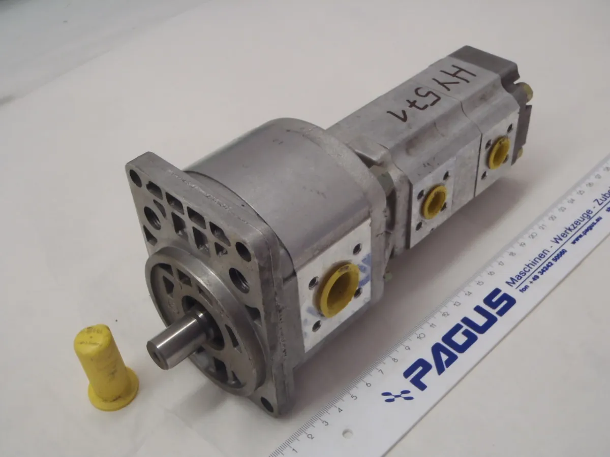 Hydraulikpumpe P1DBN2010CD