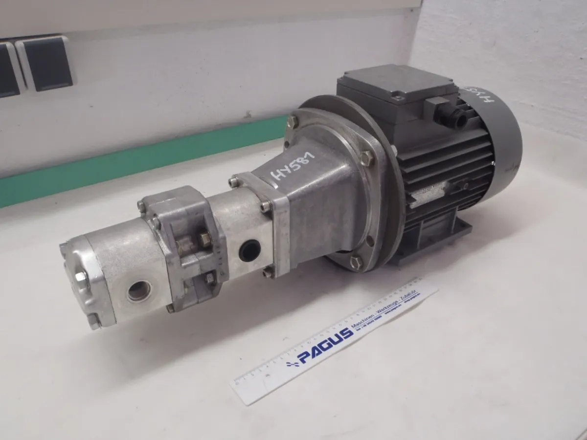 Orsta Hydraulik Doppelhydraulikpumpe 4/20.2 - 230 / 4/20.0 - 260