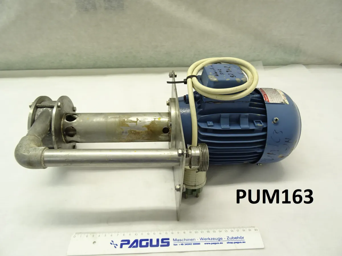 Eintauchpumpe 0,75 kW, 80 S - 2