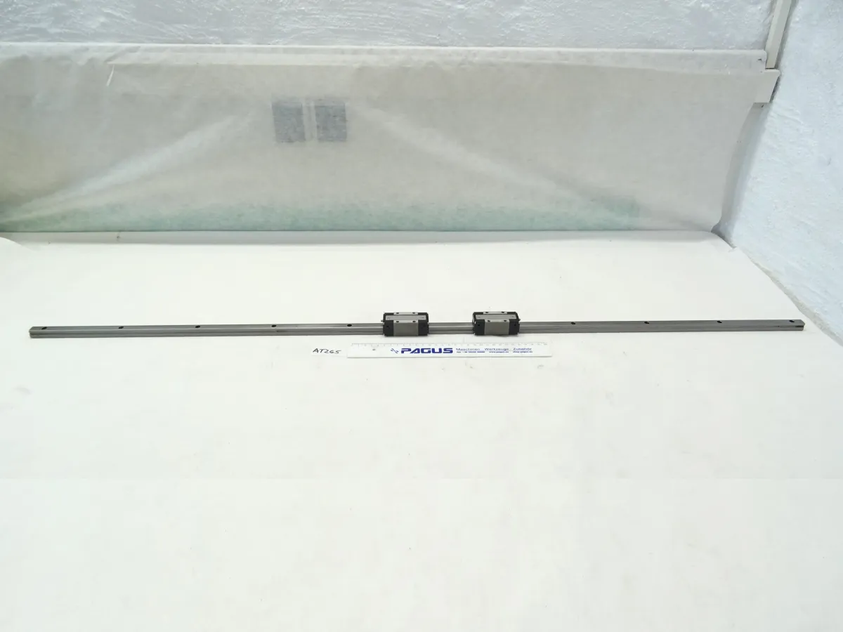 Linearführungswagen TS15 mit Schiene 1240 mm