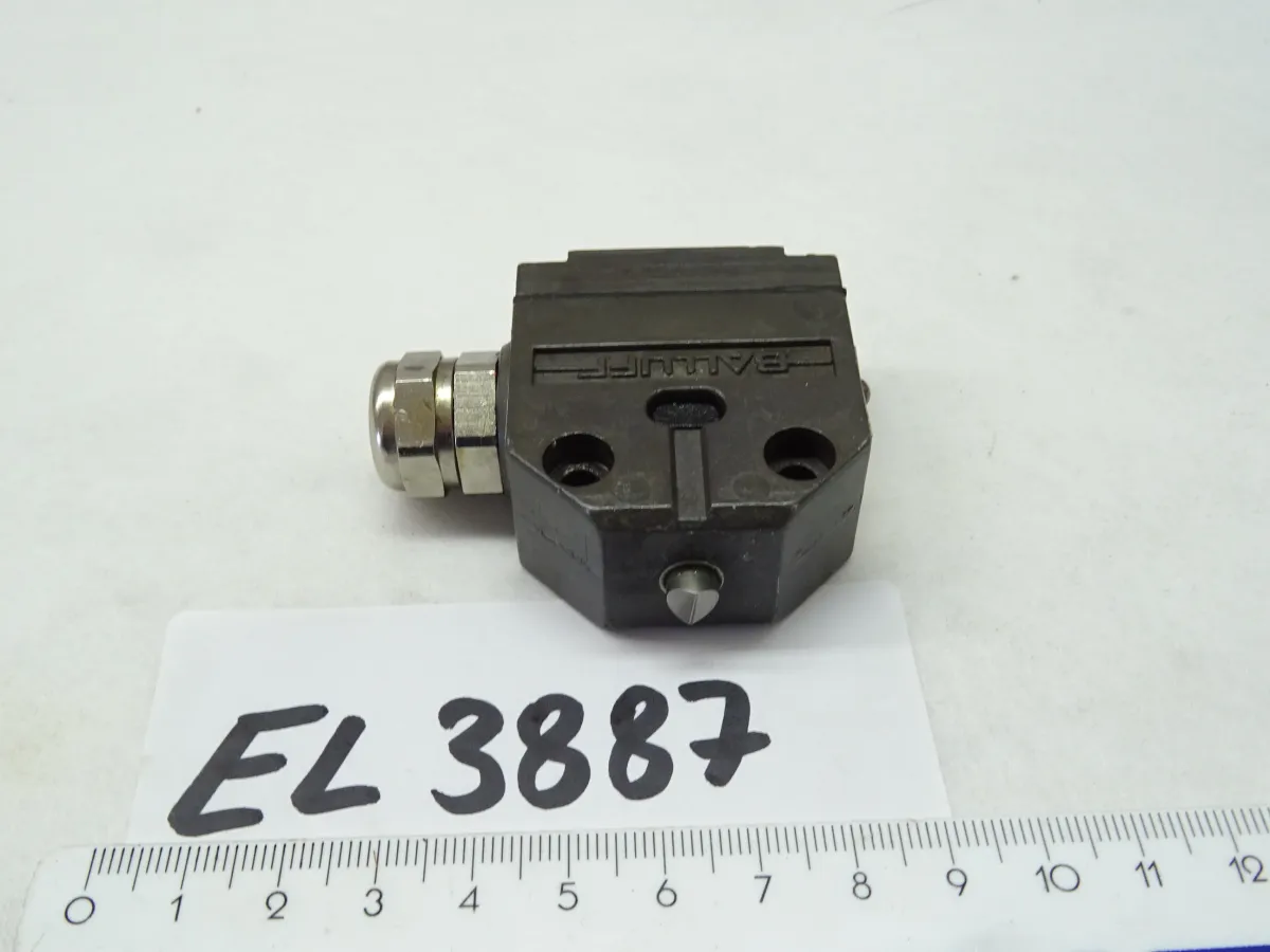 Einzelgrenztaster BNS 819-100-D-13