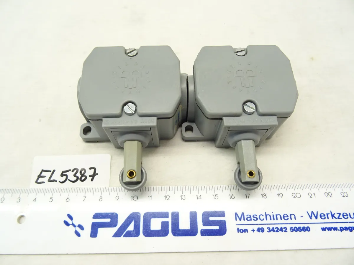 Endschalter Typ 06042811, 2 Stück