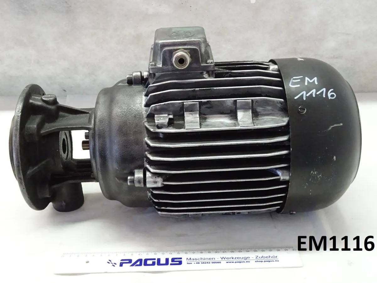 Brinkmann Elektromotor 4,0 kW, 2900 U/min