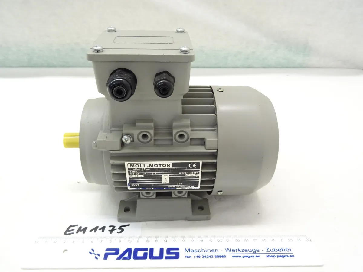 Elektromotor 0,55 kW, 2790 U/min