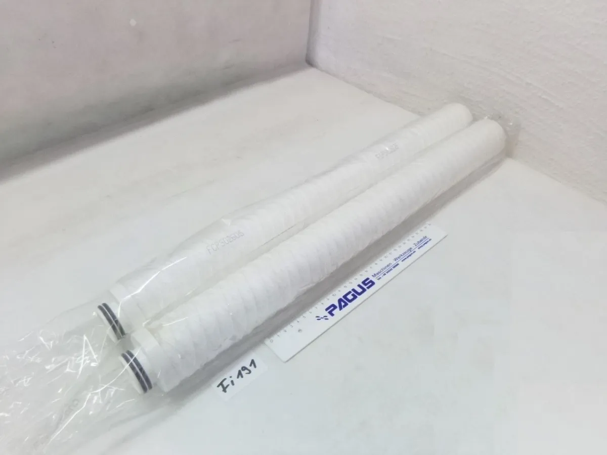 Filterpatrone FCPS02605, 2 Stück
