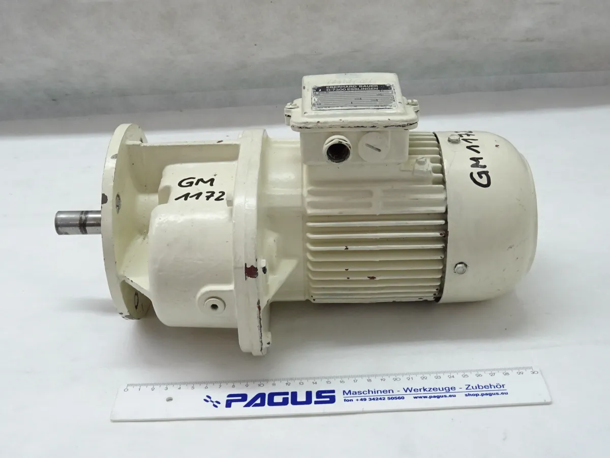 Getriebemotor 0,37 kW, 42,0 U/min