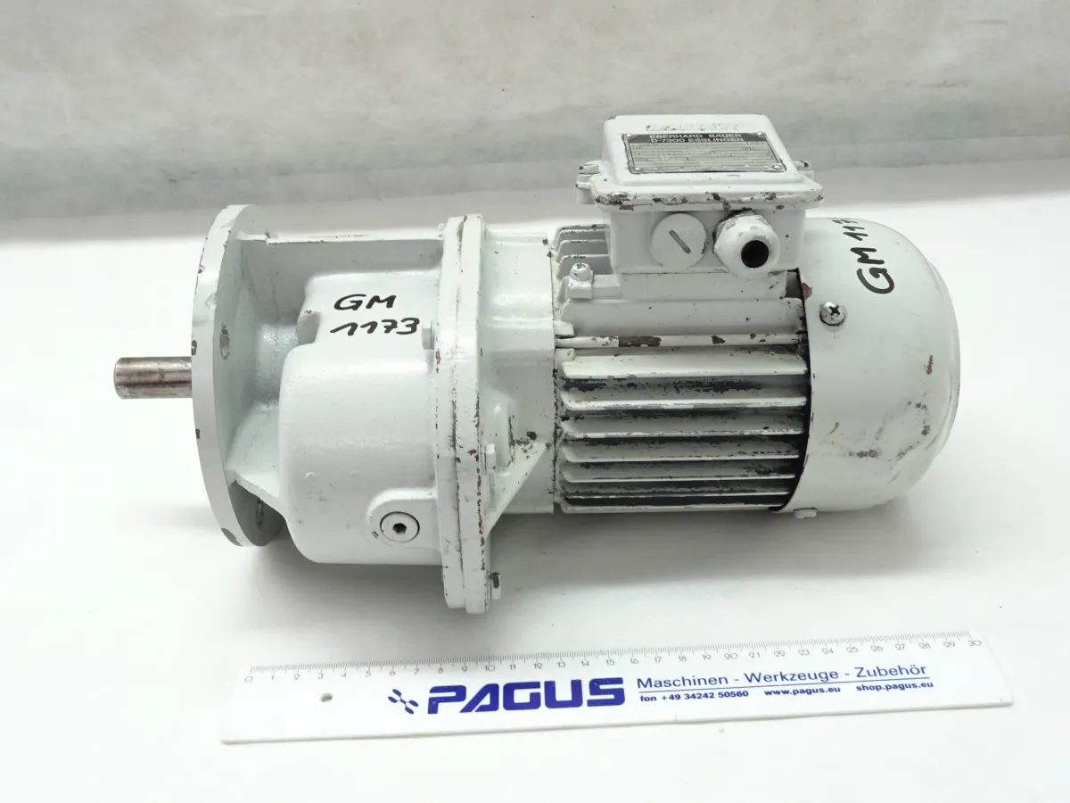 Getriebemotor 0,37 kW, 42,5 U/min