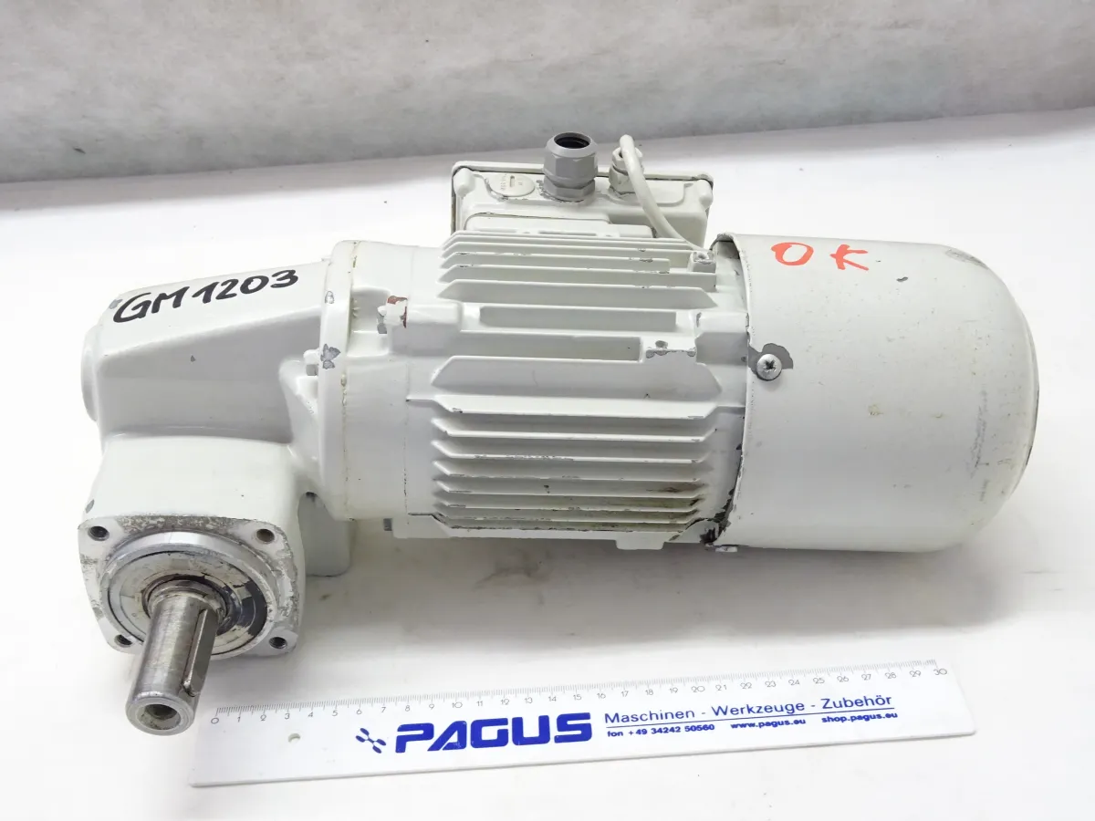 Getriebemotor mit Bremse 0,37 kW 54 U/min