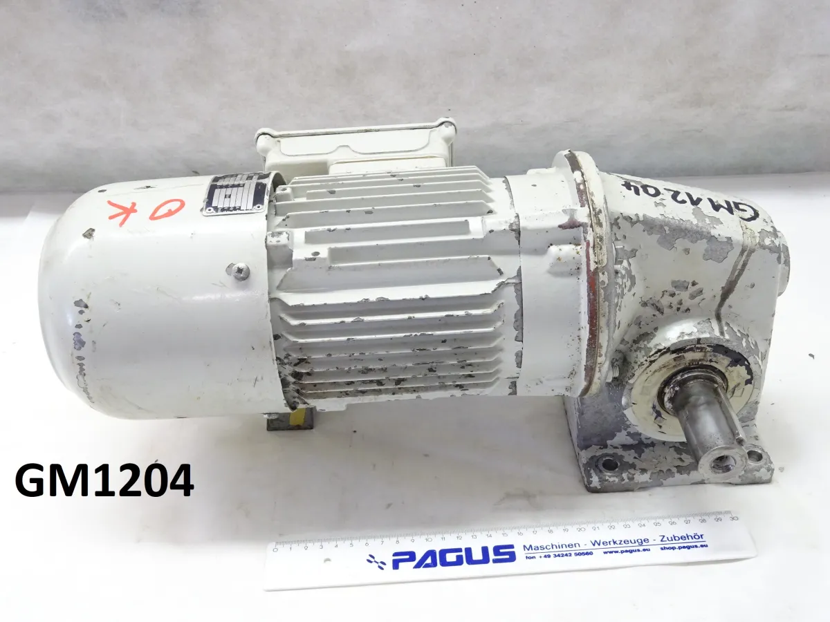 Getriebemotor mit Bremse 0,55 kW 75 U/min