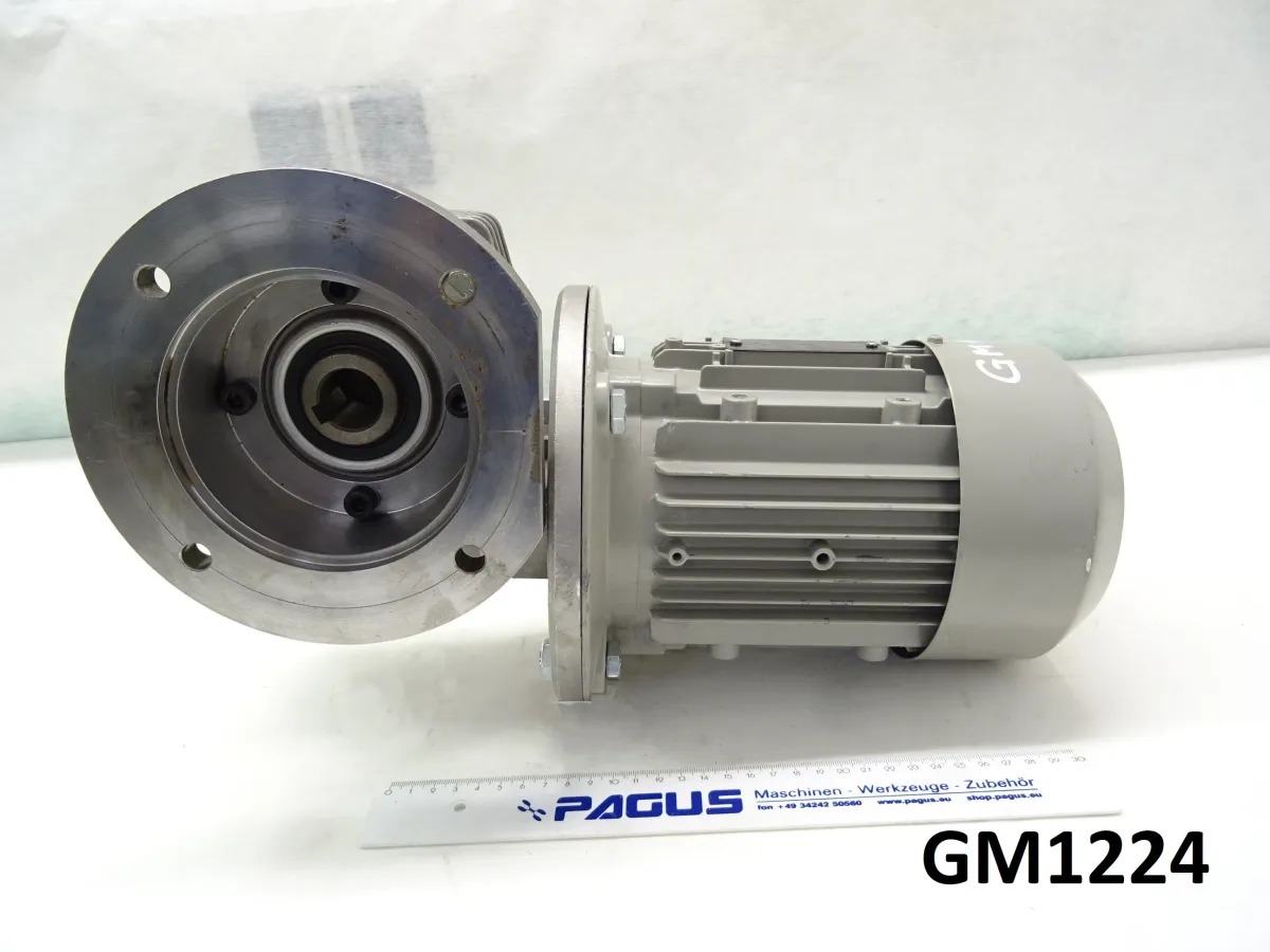 Getriebemotor 0,55 kW, 73,4 U/min