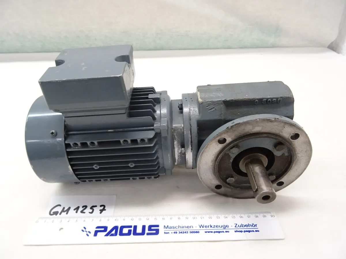 Getriebemotor 0,25 kW, 20 U/min