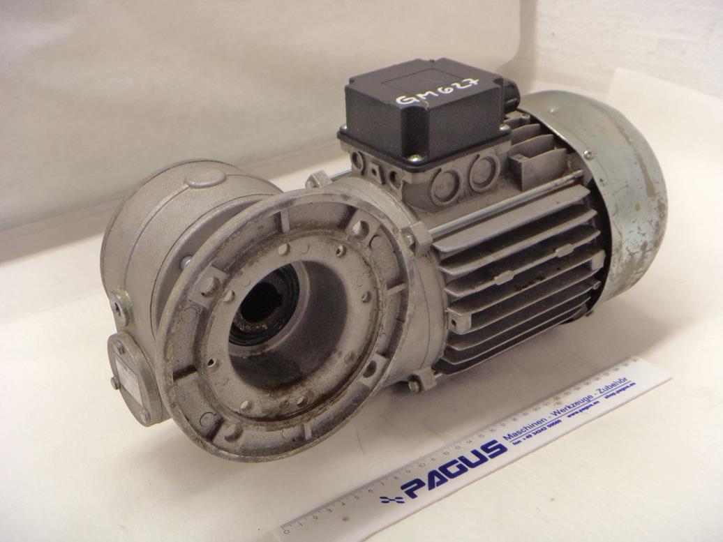 Getriebemotor 0,74 / 1,1 kW 33 / 50 U/min
