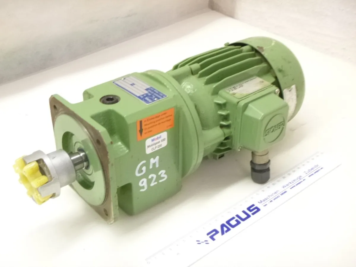 Getriebemotor 0,25 kW 30 U/min