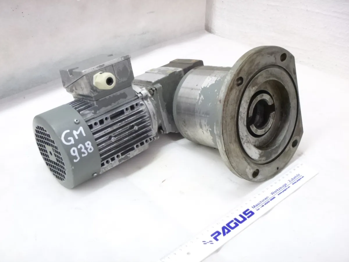 Getriebemotor 0,25 kW, 21 U/min