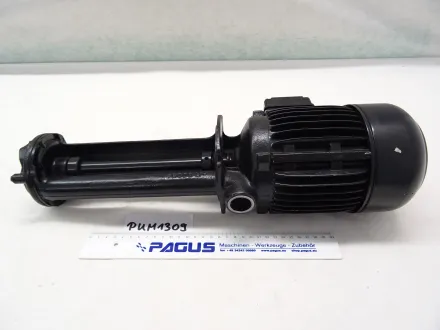 Brinkmann Eintauchpumpe TS22/250-42+242 – RESALE
