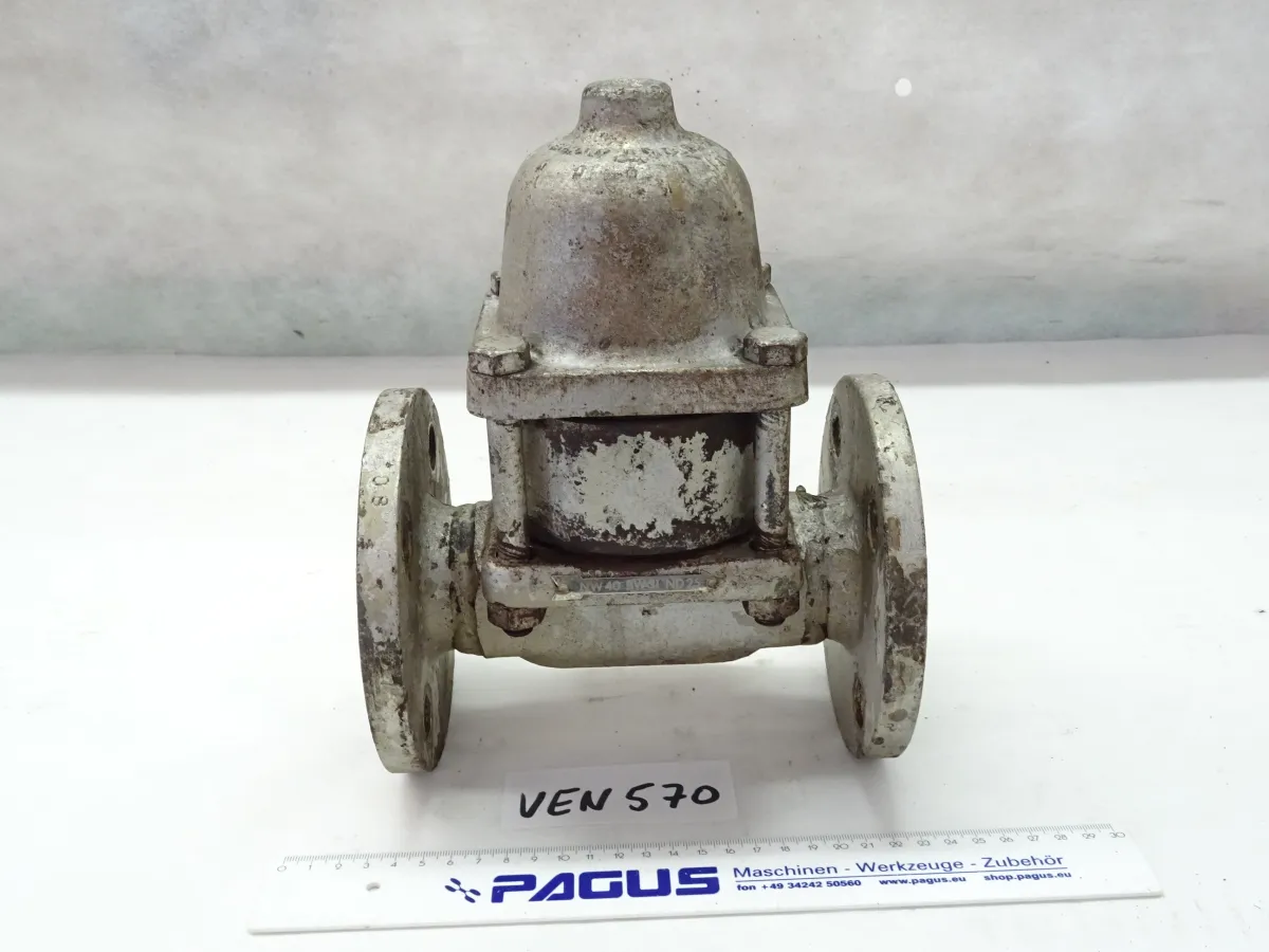 RÃ¼cklauftemperaturbegrenzer BW31 DN40
