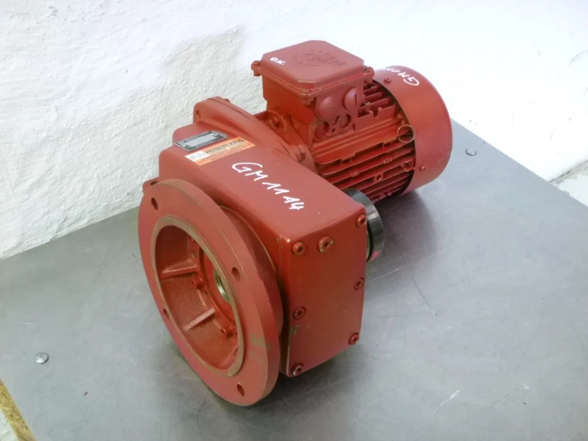 Getriebemotor 1,1 kW 225 U/min