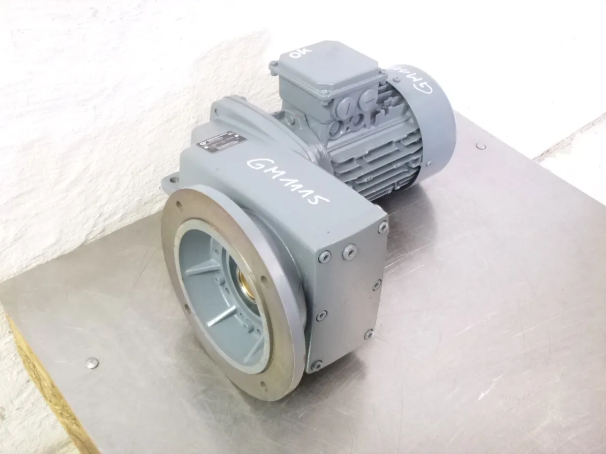Getriebemotor 1,1 kW 217 U/min