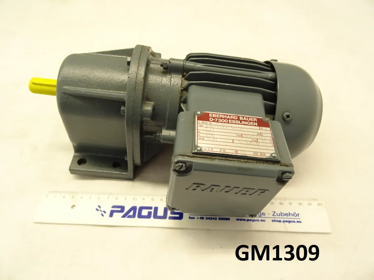 Getriebemotor 0,11 kW, 55 U/min