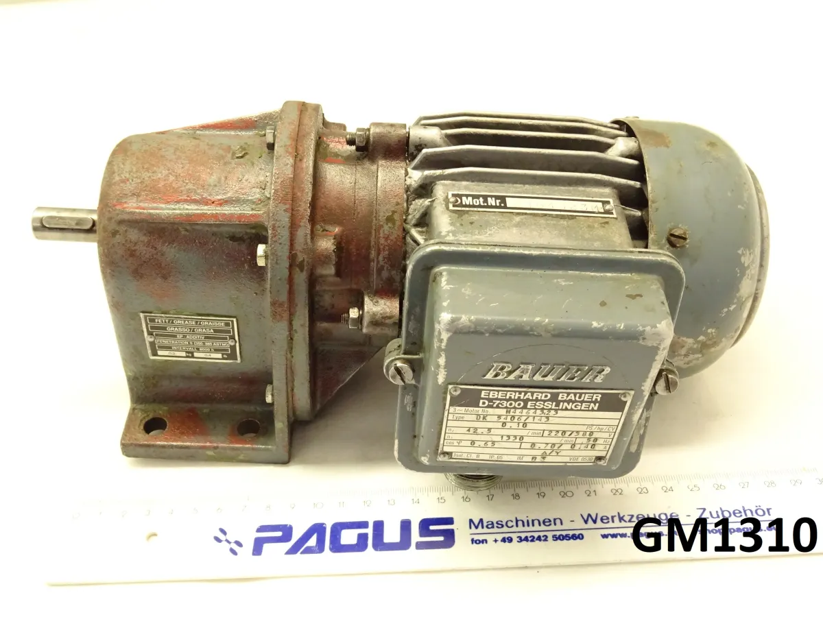 Getriebemotor 0,074 kW, 42,5 U/min