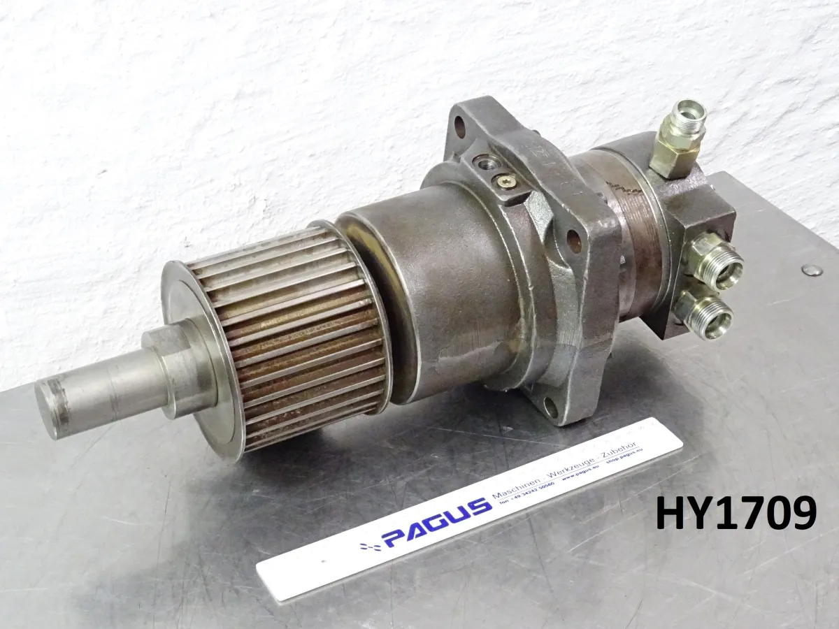 Hydraulikmotor DT01399