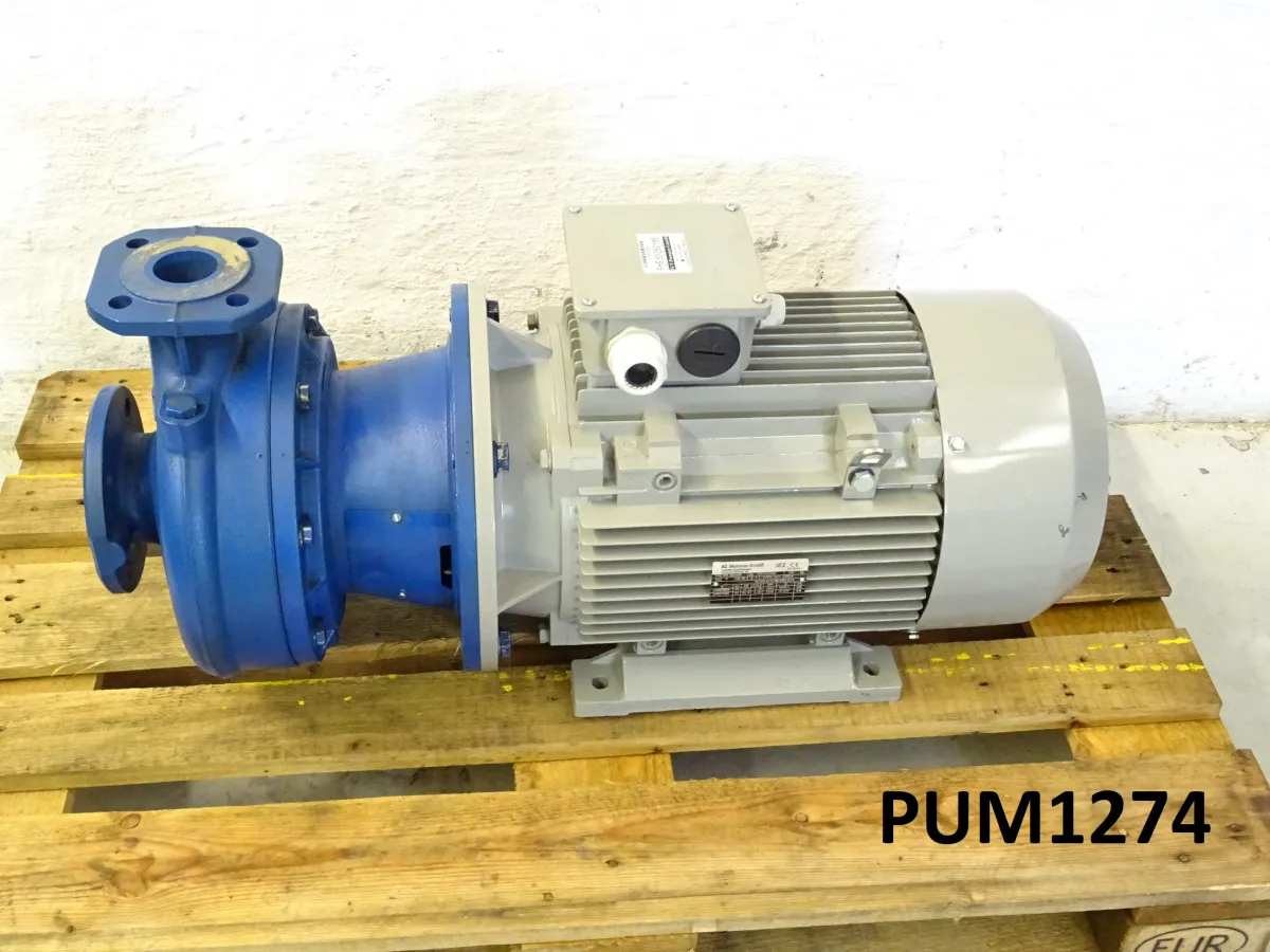 Kreiselpumpe FHS 50-250/185