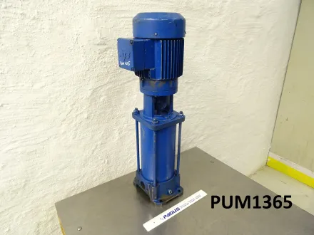 Inline-Pumpe DPL4-80, 1,5 kW – RESALE