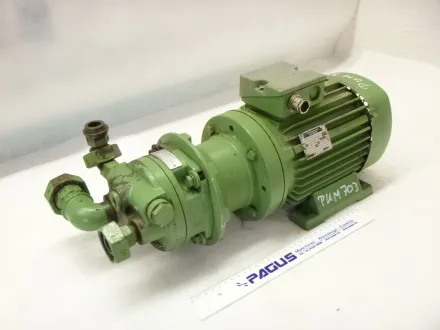 Zahnradpumpe mit Motor TS1000 – RESALE