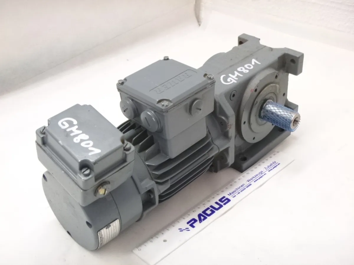 Getriebemotor mit Bremse 0,3 kW, 17,5 U/min