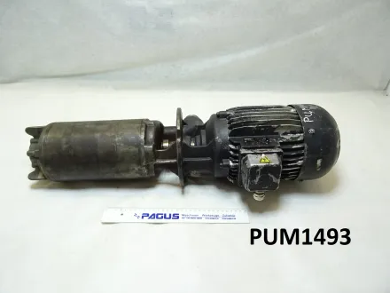 Brinkmann Eintauchpumpe TAL305/340 – RESALE