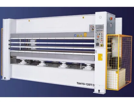 Winter SOLID 3113-200-6 Furnierpresse – RESALE