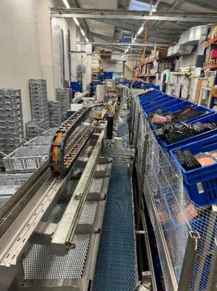 Automated Packaging Line Sorter Verpackungslinie – RESALE