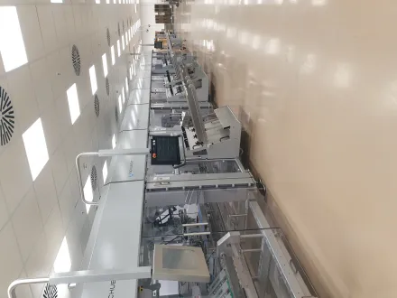 Schubert Packaging TLM Verpackungslinie – RESALE