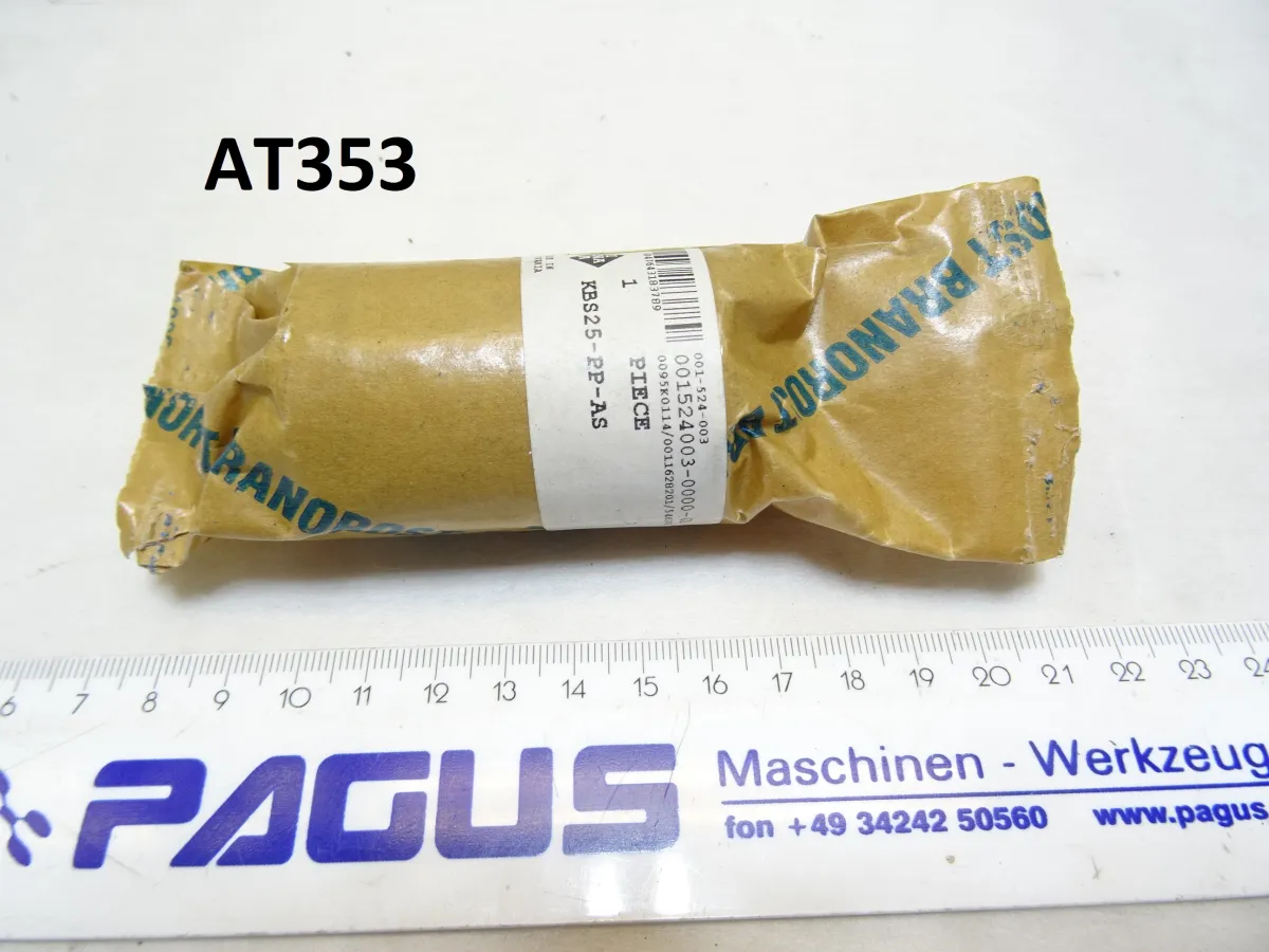Ina Wälzlager Linearkugellager KBS25-PP-AS