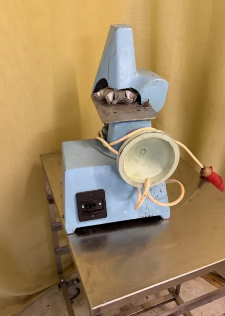 Gustav Blickle Zwetschgenentsteinmaschine Pflaumen Entkernemaschine – RESALE