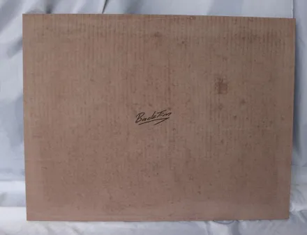 Backtim fÃ¼r Miwe Backplatte – RESALE
