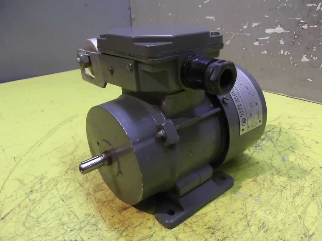 Gebr. Rademacher RASEMF564B Elektromotor 0,06 kW 1600 U/min 220 V