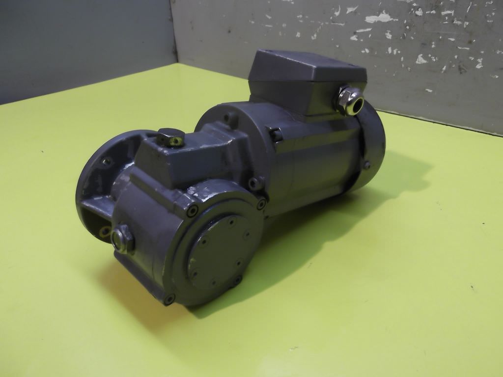 Zürrer PFV45/44-1/1FL Geared motor 0.045 kW 19 rpm