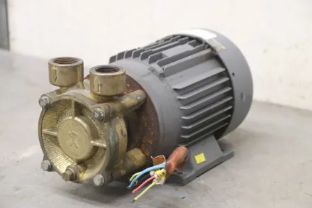 Gwk Speck Pumpen 45 l/min WP 60 Kreiselpumpe Peripheralradpumpe 0,55 kW – RESALE