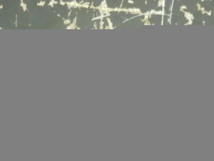 Gestra RK 66A Rückschlagventil DN80 – RESALE