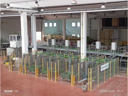 MAF RODA – Industrieanlage zur Kalibrierung, Auswahl und Handhabung von Zitrusfrüchten – RESALE