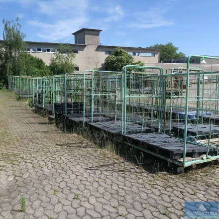 Möbel-Corletten 16 St. grün ca. 200x150x180h cm – RESALE