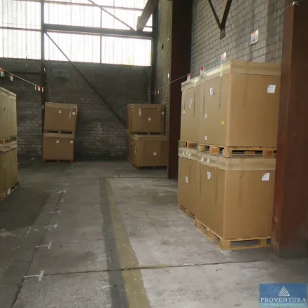 Verpackungsmaterial auf 11 Paletten – RESALE