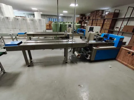 KD-350 Automatische Kissen-Packmaschine für horizontalen Fluss -2020 – RESALE