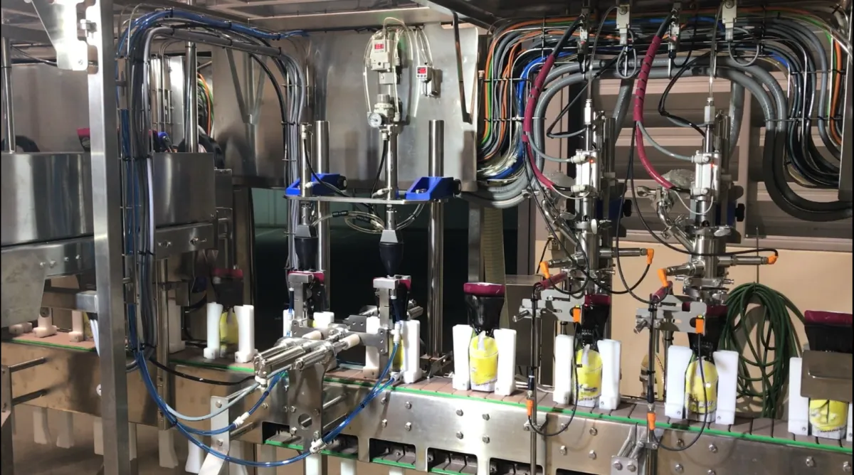 Linapack, Kreuzmayr LFS 1000 Linie für Beutelverpackungen